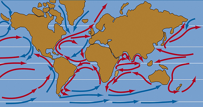 Oceanic gyres are systems of cycilcal ocean currents. sonoma.edu